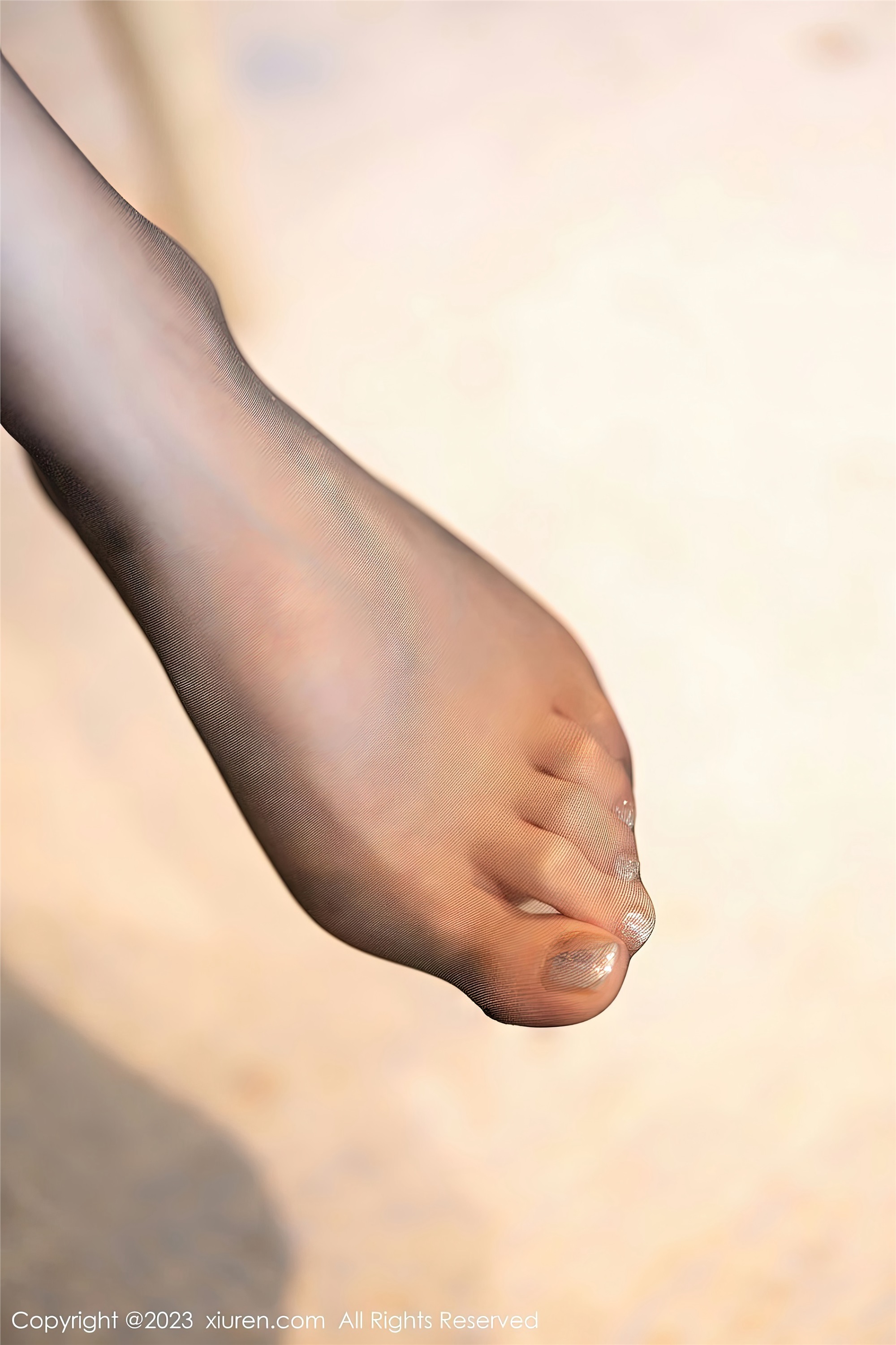 Xiuren秀人网 2023.02.01 NO.6203 梦心玥